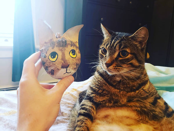 Pet Caricature Piñatas