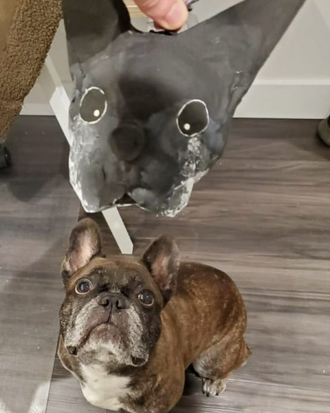 Pet Caricature Piñatas