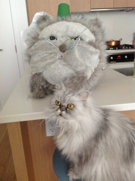 custom cat pinata